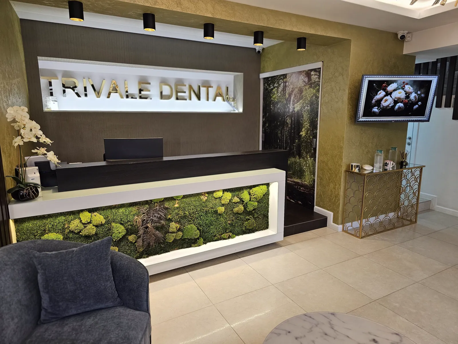 Intrarea în clinica Trivale Dental